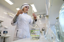 Быховский консервно-овощесушильный завод консервирует березовый сок