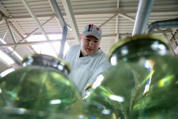 Быховский консервно-овощесушильный завод консервирует березовый сок